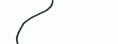 简笔画动画教程之小鸭子的绘画