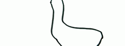 小鸭子简笔画 怎么画可爱又简单漂亮