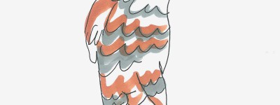 鸽子手绘画作品 超简单彩色儿童画鸽子的画法