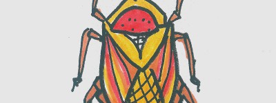 甲虫简笔画大全 创意入门简笔画甲虫的画法