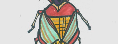 甲虫简笔画详细步骤大全 超简单入门儿童画甲虫怎么画