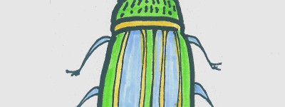 绘画入门大全 一步一步图画彩色简笔画甲虫怎么画