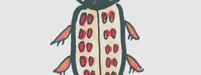 甲虫画画作品大全 漂亮简笔画甲虫的画法