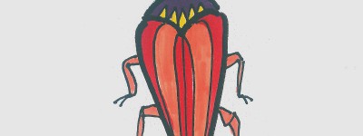4岁的美术画 漂亮简笔画甲虫怎么画