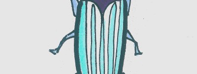 甲虫简笔画详细过程大全 简单彩色儿童画甲虫怎么画