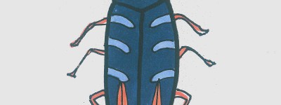 10岁～12岁中难度美术画第一名 超简单儿童画甲虫的画法
