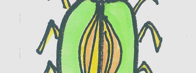 11～15岁幼儿儿童画步骤 超简单入门儿童画甲壳虫怎么画