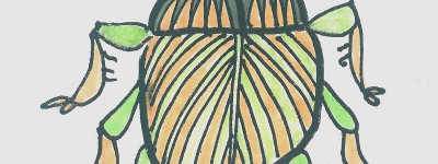 四年级优秀手绘画步骤一等奖 超萌彩色儿童画瓢虫怎么画
