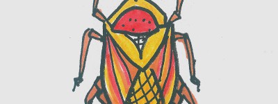 7一10岁绘画 实用入门儿童画甲虫的画法