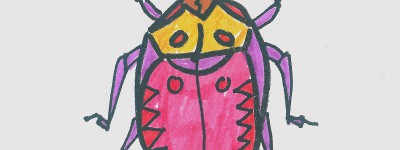 10一15岁儿童图画图片 实用彩色简笔画瓢虫的画法