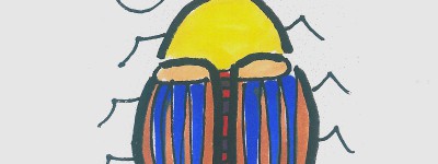 5—7岁幼儿美术画过程 创意简笔画瓢虫的画法