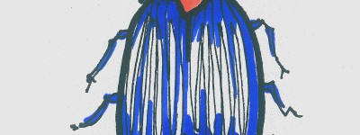 瓢虫画画作品 好看入门儿童画瓢虫怎么画
