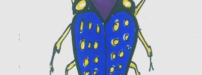 甲壳虫儿童图画图解 创意儿童画甲壳虫的画法