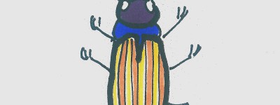 甲虫儿童手绘画大全 实用彩色简笔画甲虫怎么画