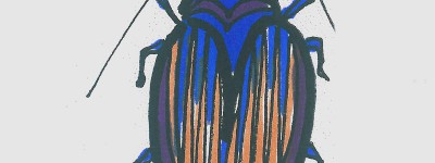 三年级九岁美术画 实用简笔画天牛的画法
