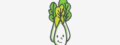 3岁幼儿绘画图解 实用入门简笔画白菜的画法