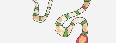 9岁绘画入门 创意小学生彩色简笔画蛇怎么画