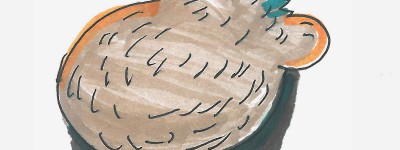 三年级少儿儿童画过程大全 漂亮彩色简笔画刺猬的画法