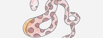 8一9岁儿童画画过程 可爱彩色简笔画蛇怎么画