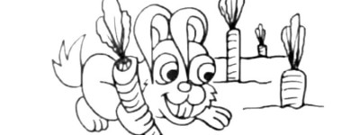 拔萝卜的小兔子_兔子简笔画