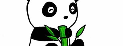小熊猫简笔画