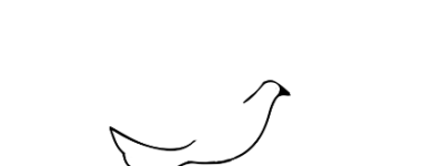 鸽子怎么画