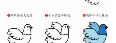 学画鸽子简笔画步骤图文教程
