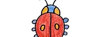 甲壳虫怎么画？