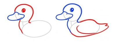 幼儿数鸭子简笔画