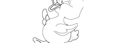 小鸭子简笔画图片大全