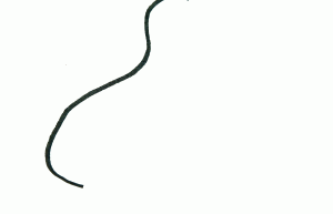 简笔画动画教程之小鸭子的绘画