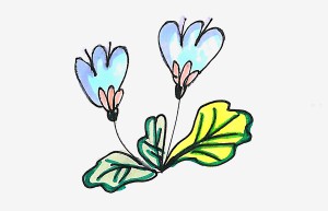 创意彩色简笔画花草怎么画