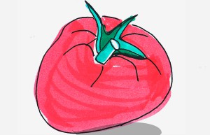 实用彩色简笔画西红柿怎么画