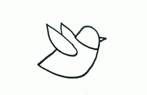 即将飞行的小鸟简笔画画法图片步骤