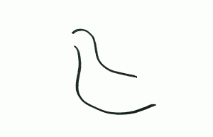 鸭子先生简笔画图片作品步骤教程