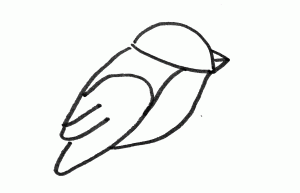 可爱的小鸽子简笔画画法图解