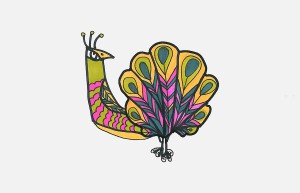 孔雀美术图解一等奖 一步一步彩色儿童画孔雀怎么画