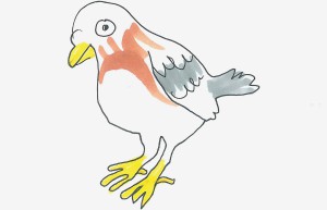 鸽子美术画一等奖 实用儿童画鸽子怎么画