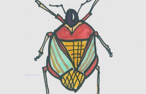 甲虫简笔画详细步骤大全 超简单入门儿童画甲虫怎么画