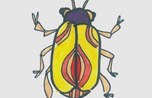 甲壳虫简笔画步骤 好看入门儿童画甲壳虫怎么画