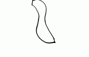 7-12岁儿童儿童画步骤 漂亮彩色儿童画鸭子的画法