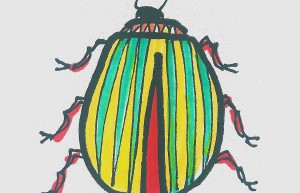 5—7岁画画 超简单简笔画瓢虫怎么画