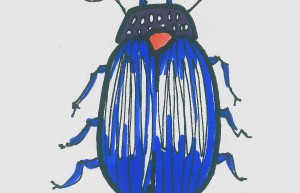 瓢虫画画作品 好看入门儿童画瓢虫怎么画