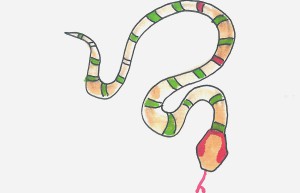 9岁绘画入门 创意小学生彩色简笔画蛇怎么画