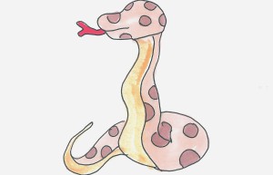 六年级幼儿绘画图解 好看图画简笔画蛇怎么画