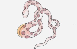 8一9岁儿童画画过程 可爱彩色简笔画蛇怎么画