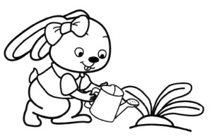 小兔子妹妹给萝卜浇水_兔子简笔画