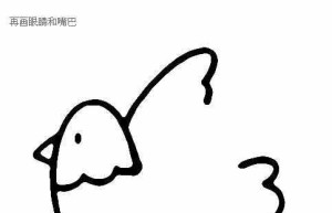 鸽子简笔画详细教程