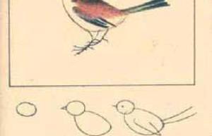 麻雀简笔画图片画法