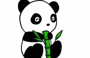 小熊猫简笔画